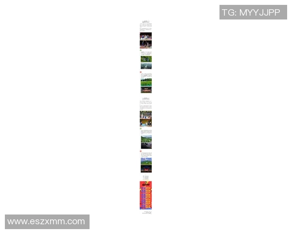 杭州篮球队在全国耐力排行榜中荣获第四名展现出强大实力与团队精神