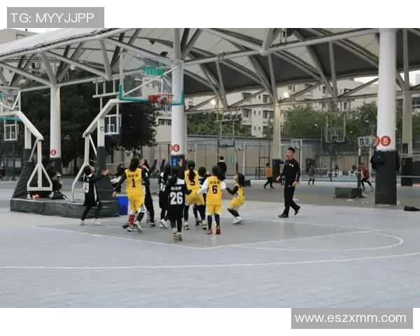 成都篮球队在城市联赛中的比赛经验与表现分析